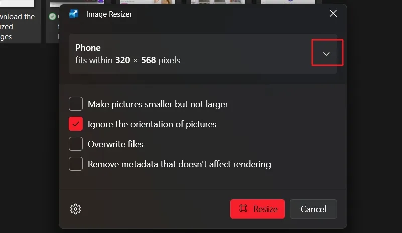 Choose Options to Resize Images
