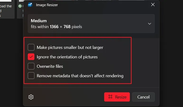 Enable or Disable Resize Options