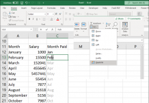 Flash Fill Excel Auto Fill