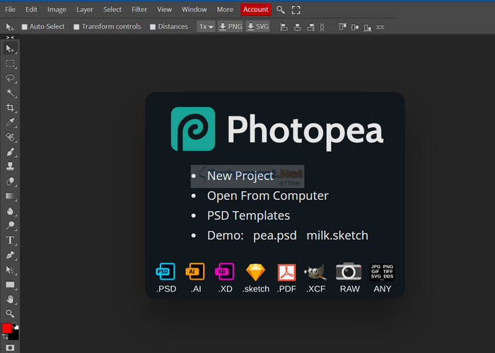 PhotoPea Online Photo editing to