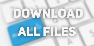 Download All File
