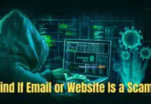 Find If Email or Website Is a Scam