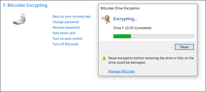BitLocker Encryption Progress