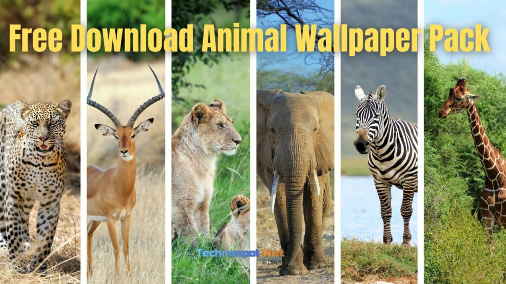Free Download Animal Wallpaper Pack