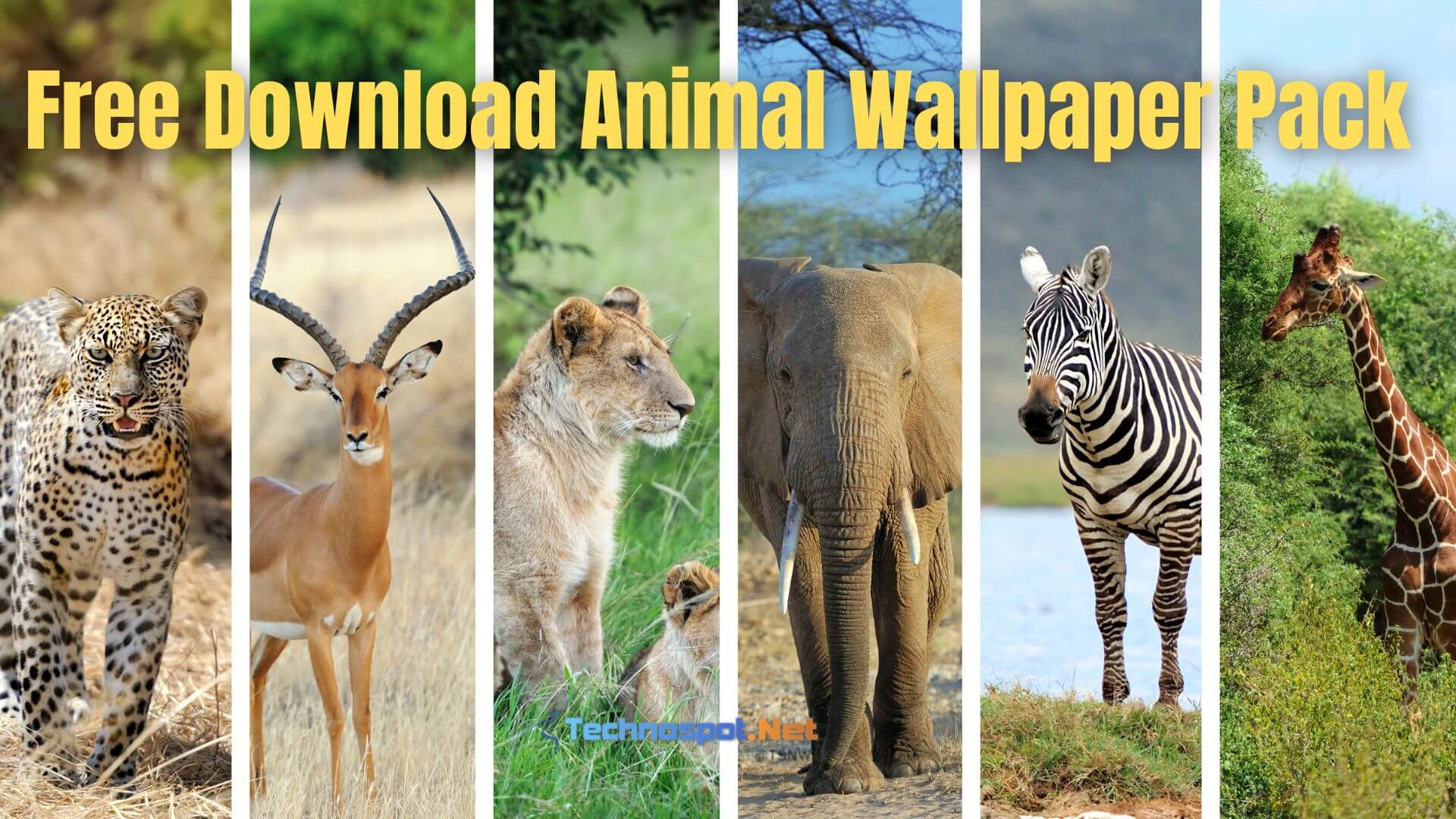 Free Download Animal Wallpaper Pack (Free)