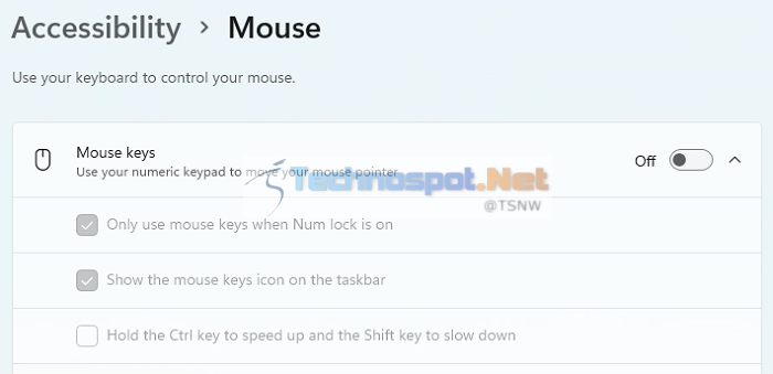 Mouse Keys Accessibility Windows