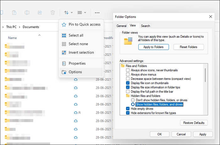 Windows 11 File Explorer Folder Options