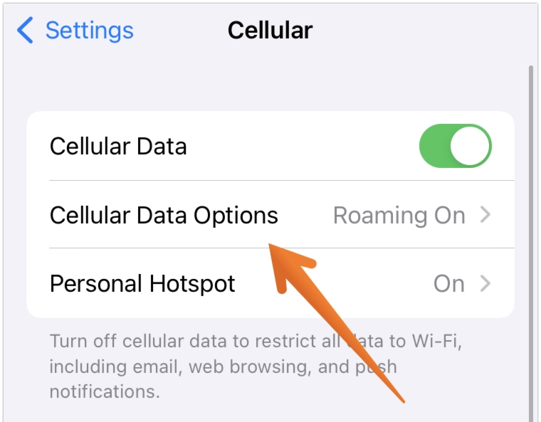 Tap on Cellular Data Options on iPhone