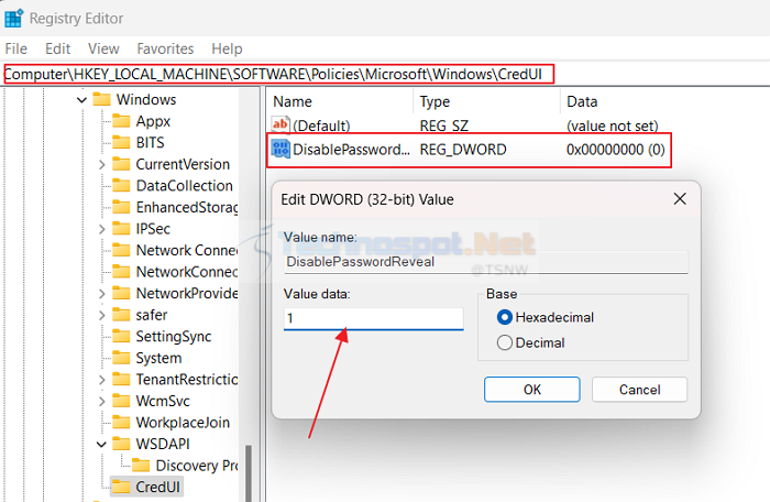 Disabling password reveal button in Windows using the registry editor