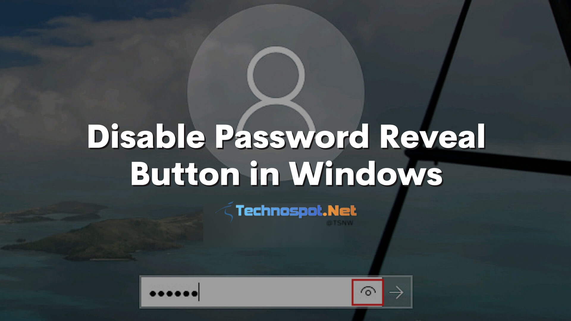 windows password revealer