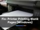 Fix Printer Printing Blank Pages (Windows)_result