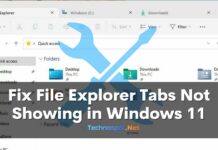 Fix File Explorer Tabs Not Showing in Windows 11