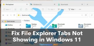 Fix File Explorer Tabs Not Showing in Windows 11