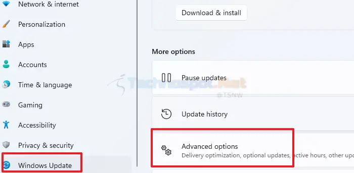 Choose Advanced Options From Windows Update