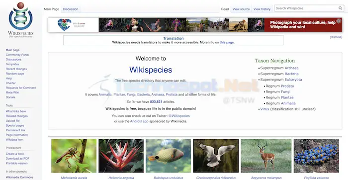 Wikispecies - An Encyclopedic Database of Species From Around the World