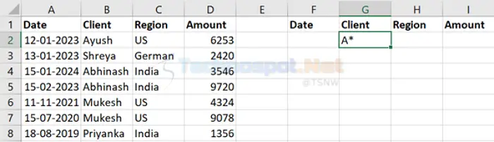 Wildcard characters filter example Excel