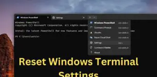 Reset Windows Terminal Settings
