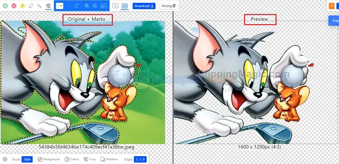 Uploaded Image in Clipping Magic Tool Has Two Sections