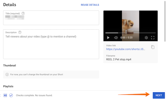 Put Details to Upload YouTube Videos