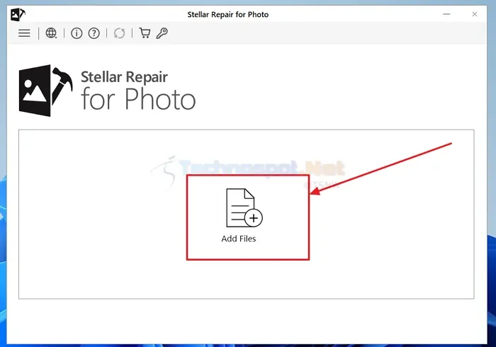 Adding files to stellar repair for photo for repair