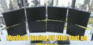 Monitors Turning Off After Boot on Windows