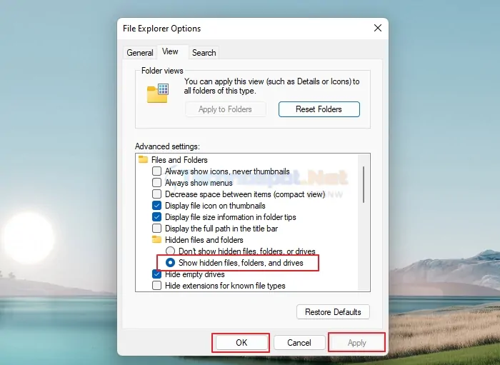 Show Hidden Files Folders and Drivers