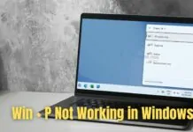 Win P Not Working in Windows