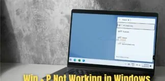 Win P Not Working in Windows