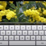 Full Keyboard support on 2x client for iPad