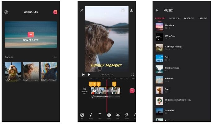 Add Music to Instagram Video editor