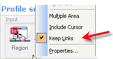Capture Links with Snagit Options