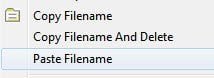 Copy File Name