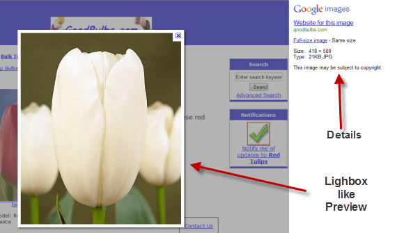 Google Image Search Popup