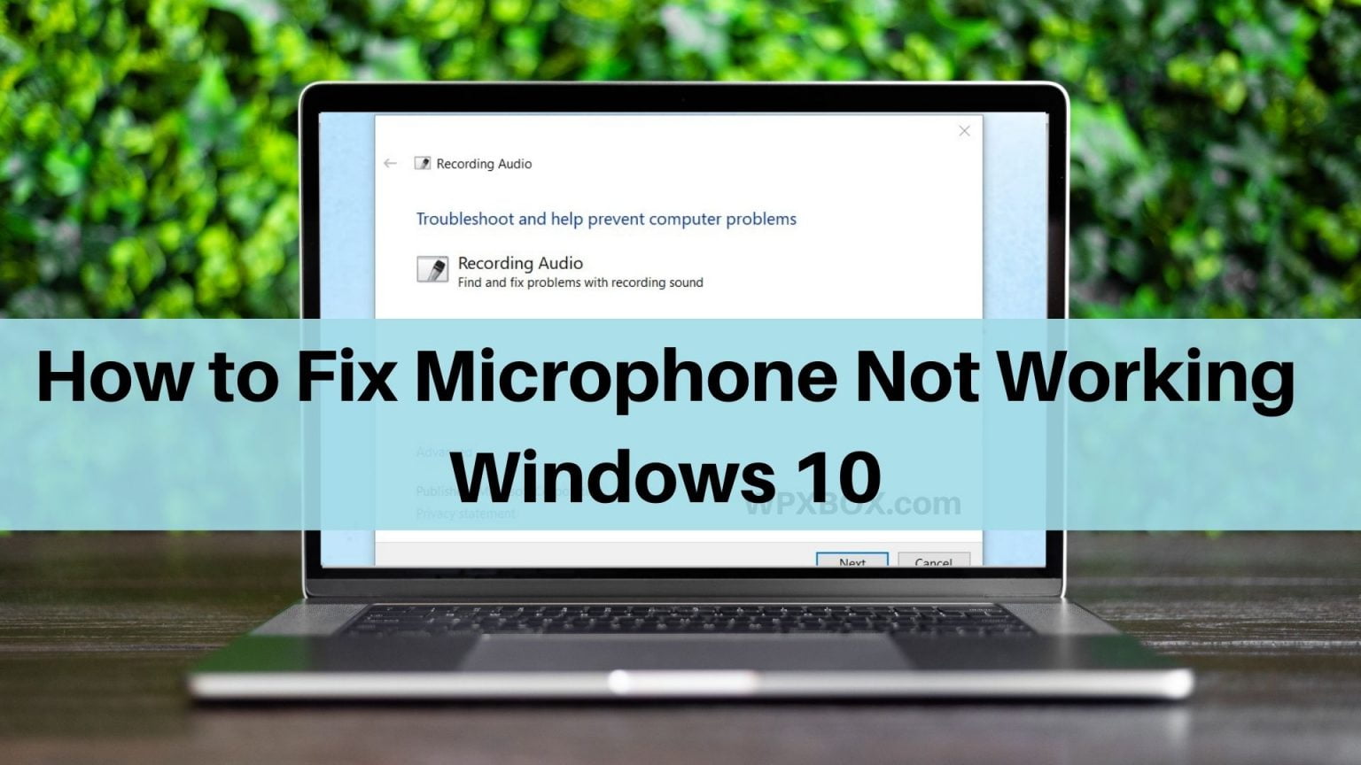 How to fix microphone not working in windows 11 10