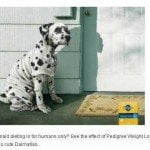Pedigree Weight Loss for Dogs