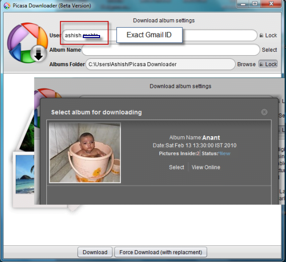 picasa online photo editor