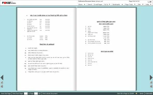 Read PDF files in Flip style like a book Pokat