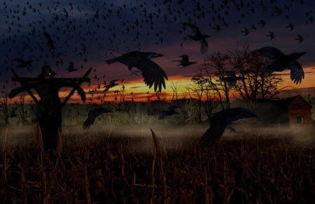 Scary Crows : Scary Halloween Wallpaper