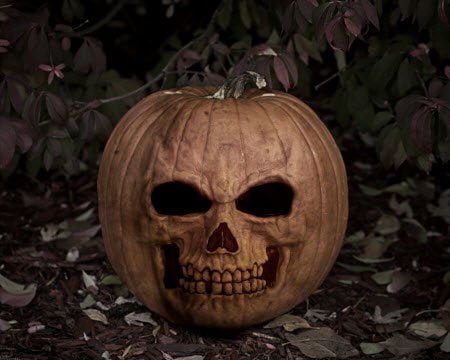 Pumpkin Skull Scary Halloween Wallpaper