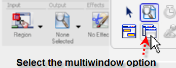 Snagit Multiple Window Options