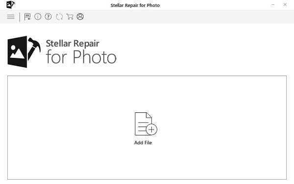 Stellar Repair for Photo