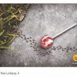 Sugar Free Lollipop Avoided by Ants