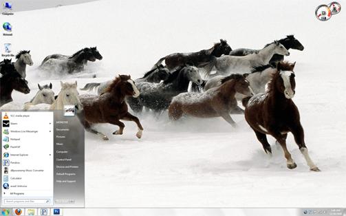 Windows 7 Snow Horses Theme