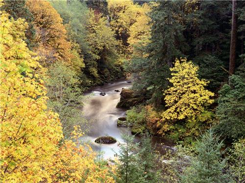 autumn-color-coquille-river-oregon-1600x1200