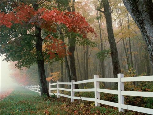 autumn-splendor-1600x1200-id-30979