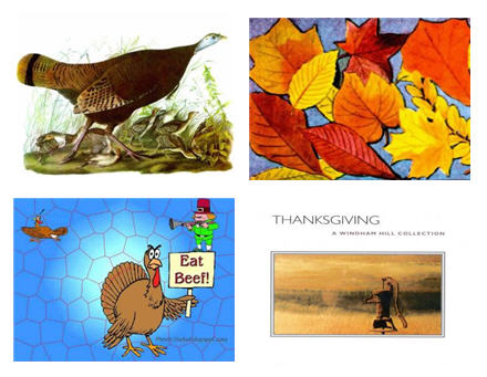 Thanks Giving Wallpapers : Turkey wallpapers