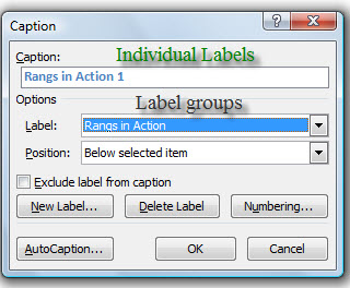 Creating label groups for caption