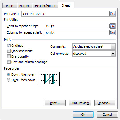 Excel printing advanced options