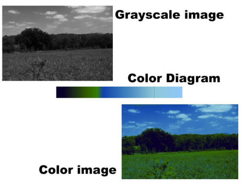 color image convert to black and white color image convert to black and white