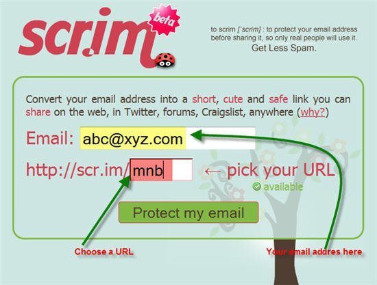 scrim-choose-a-url-and-give-email-address